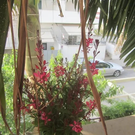 La Palma Apartment *