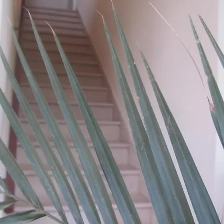 Apartment La Palma *